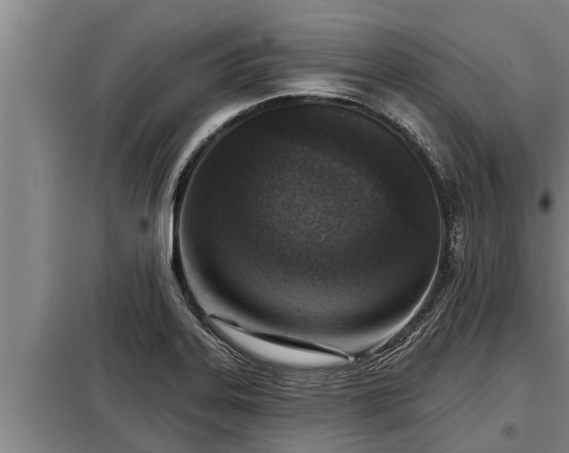 X0000098171323200805011005