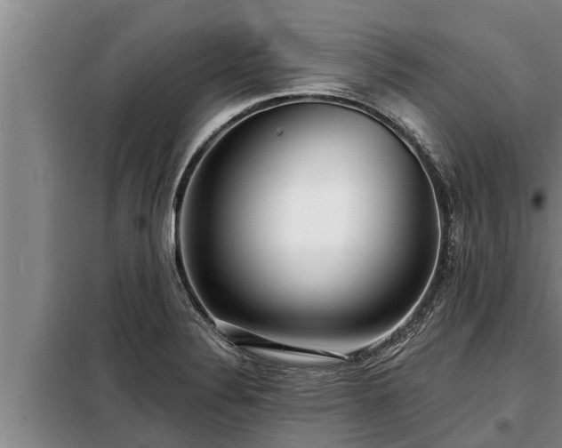 X0000098171324200805011005