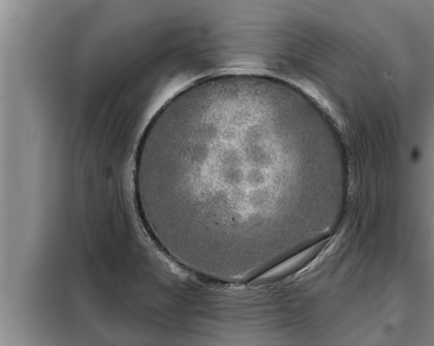 X0000098171325200805011005