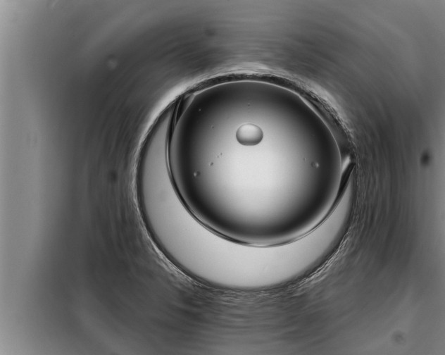 X0000098171326200805011005