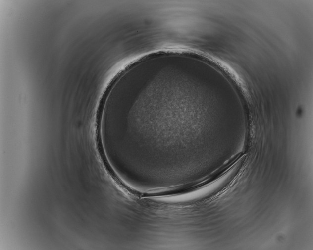 X0000098171327200805011005