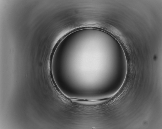 X0000098171328200805011005