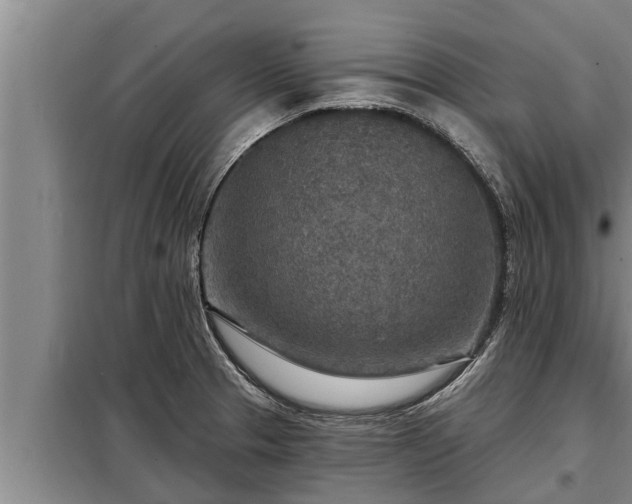 X0000098171329200805011005