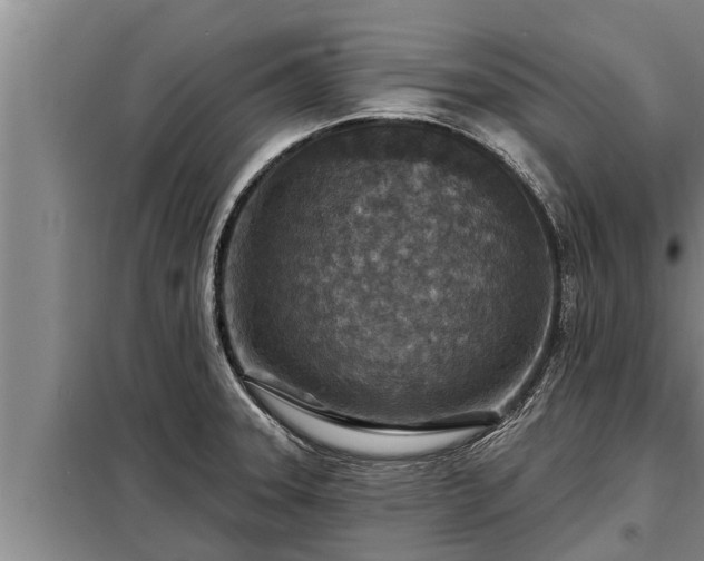 X0000098171331200805011005