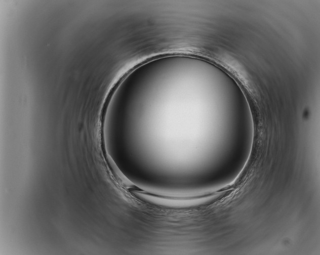 X0000098171332200805011005