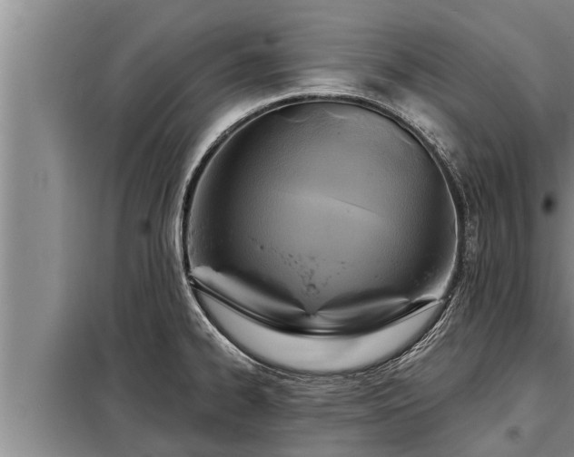 X0000098171334200805011005