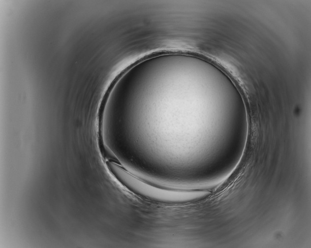 X0000098171335200805011005