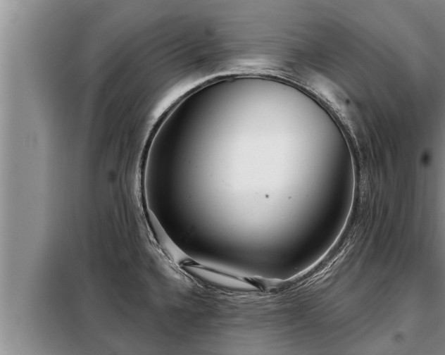 X0000098171336200805011005