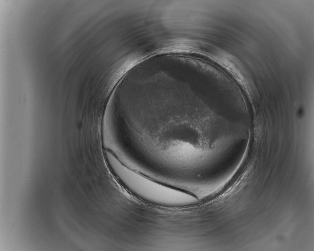 X0000098171337200805011005