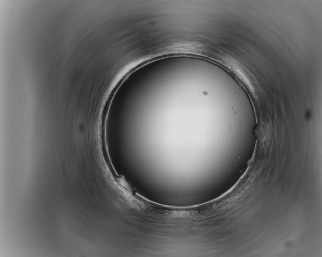 X0000098171339200805011005