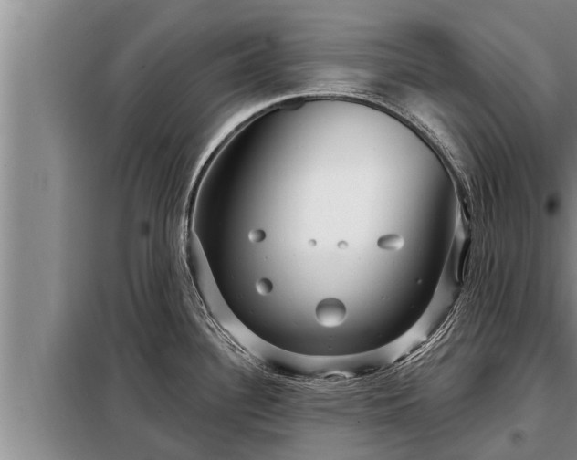 X0000098171340200805011005