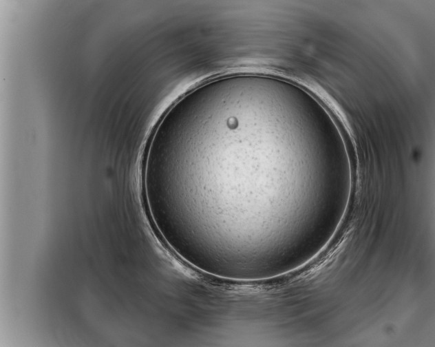 X0000098171341200805011005