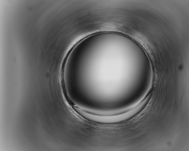 X0000098171342200805011005