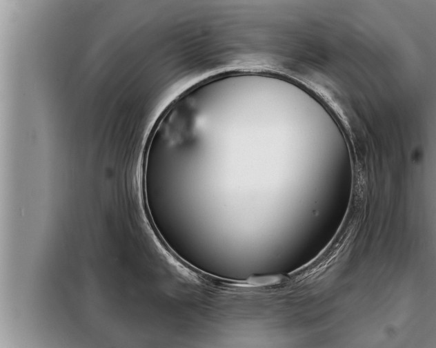 X0000098171343200805011005