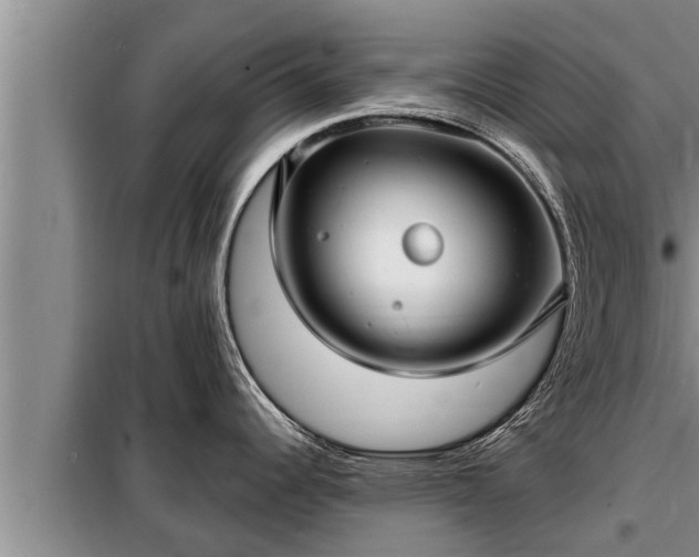 X0000098171344200805011005