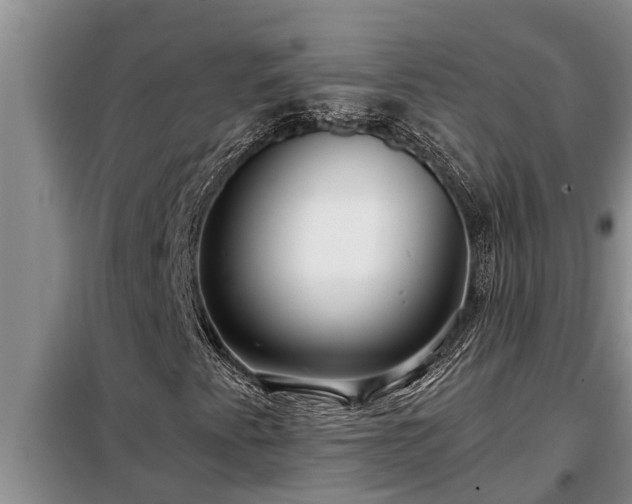 X0000098171345200805011004