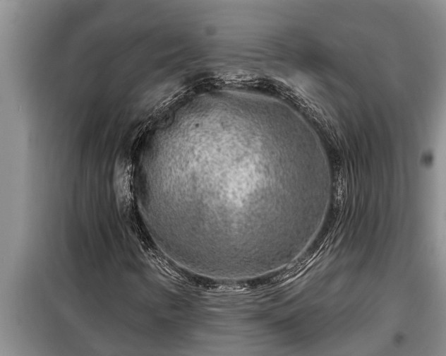 X0000098171346200805011004