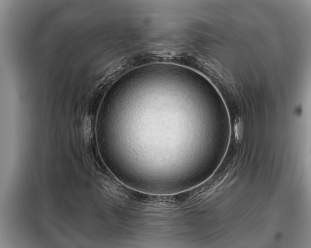 X0000098171347200805011004