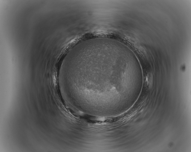 X0000098171348200805011004