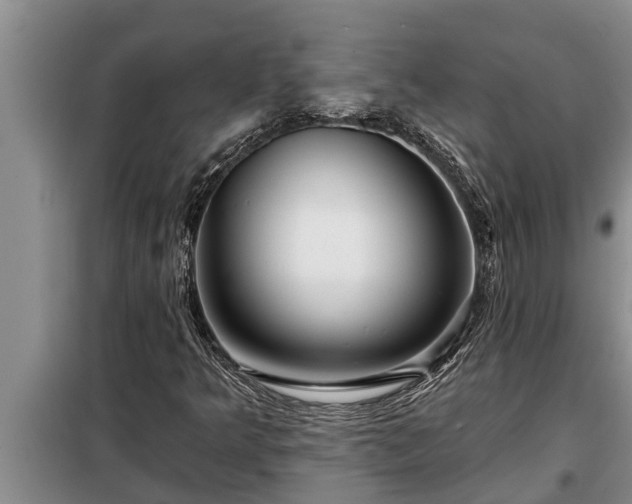 X0000098171349200805011004