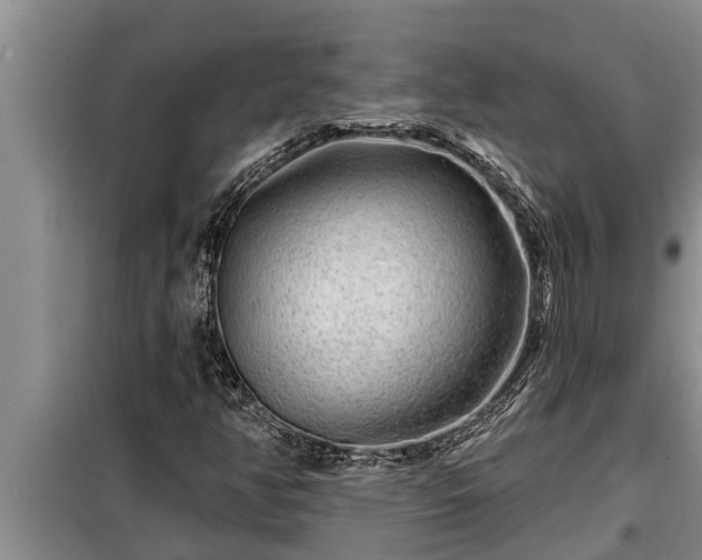 X0000098171350200805011004