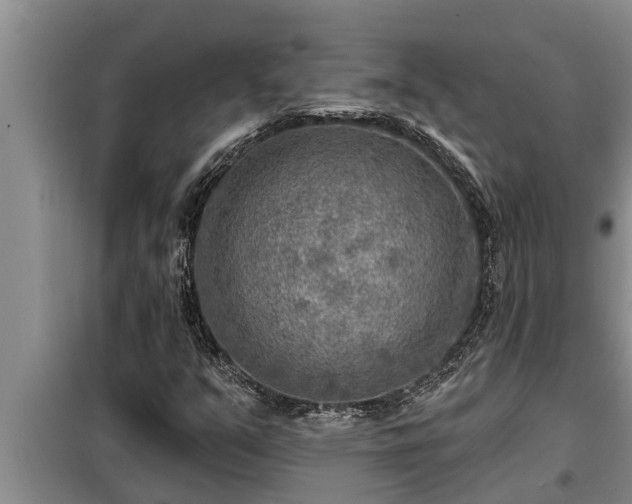 X0000098171351200805011004