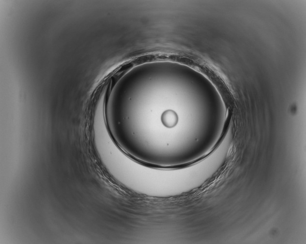 X0000098171352200805011004