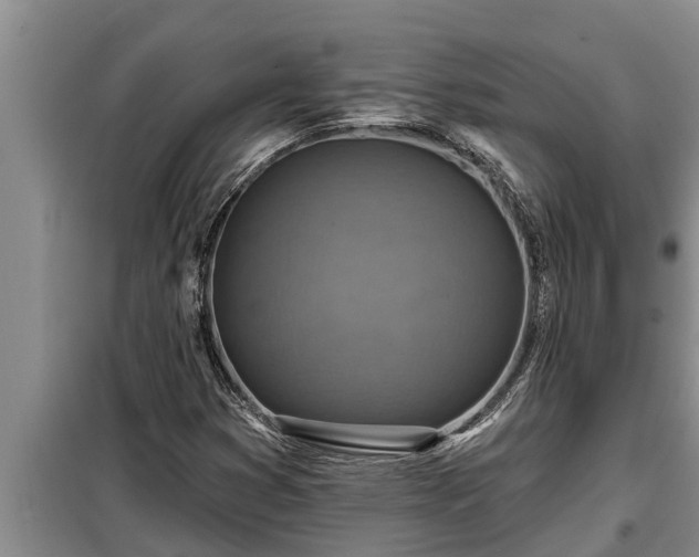 X0000098171353200805011004