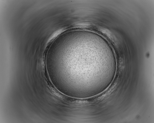 X0000098171354200805011004