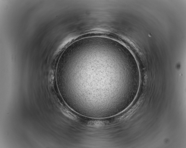 X0000098171355200805011004