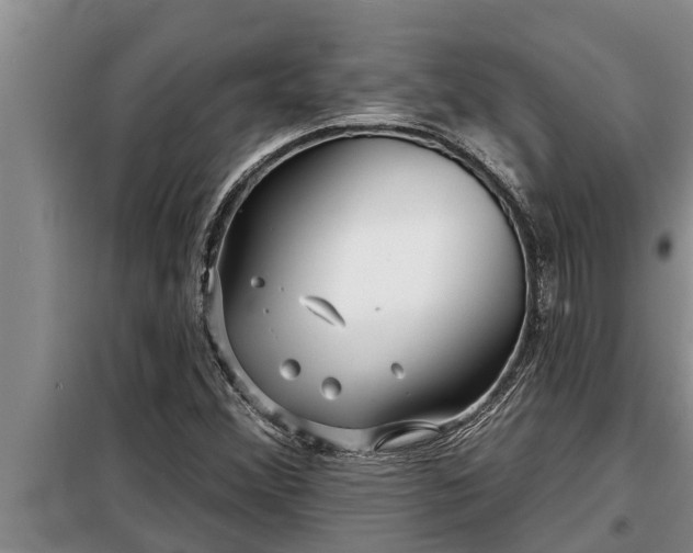 X0000098171356200805011004