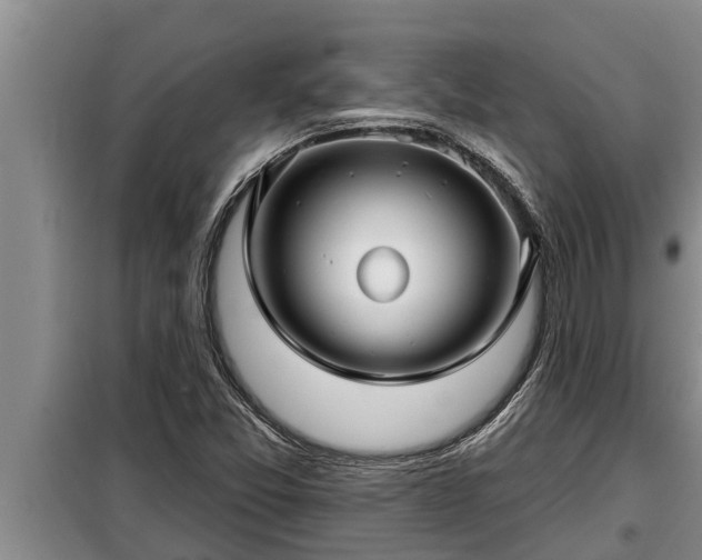 X0000098171357200805011004