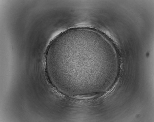 X0000098171358200805011004