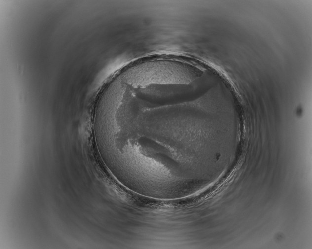 X0000098171359200805011004