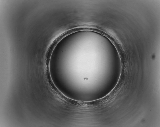 X0000098171360200805011004