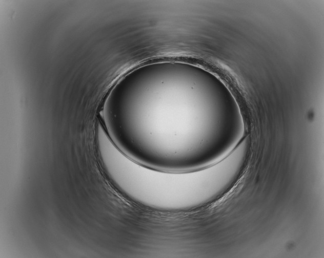 X0000098171361200805011004