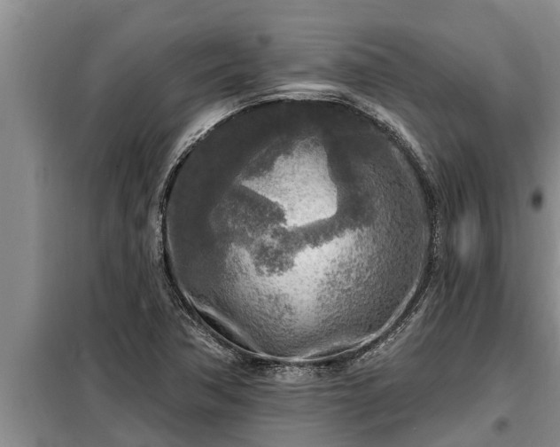 X0000098171362200805011004