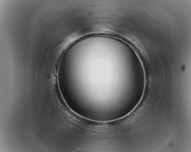 X0000098171363200805011004