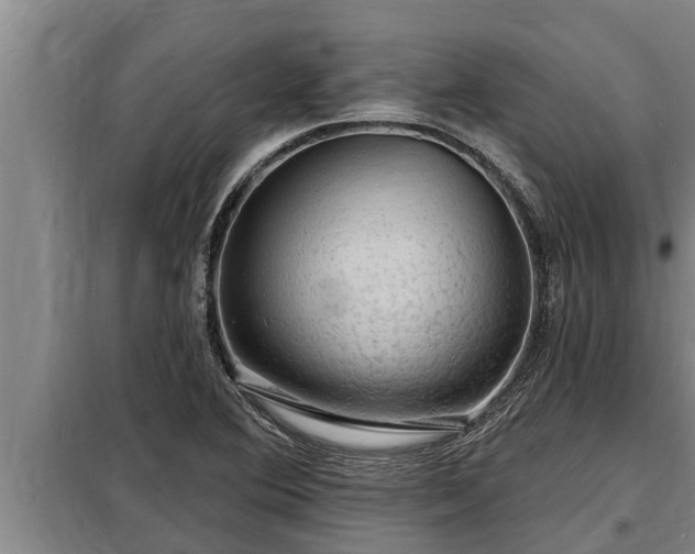 X0000098171364200805011004