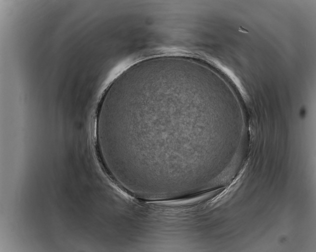 X0000098171365200805011004