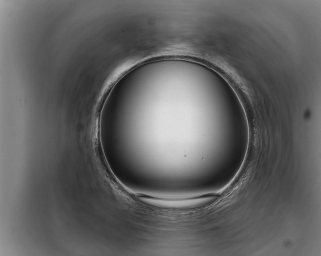 X0000098171366200805011004