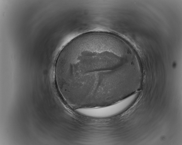 X0000098171367200805011004