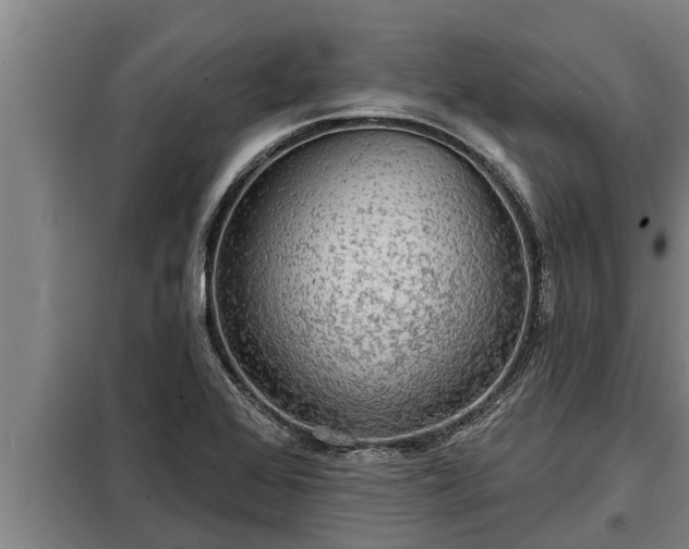 X0000098171368200805011004