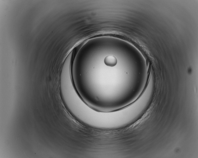 X0000098171369200805011004