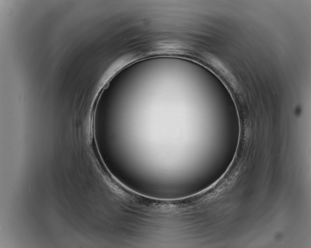 X0000098171370200805011004