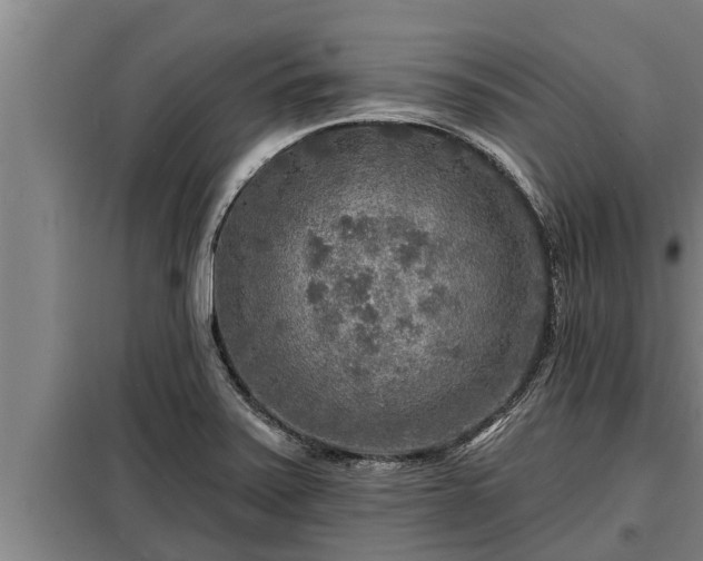 X0000098171371200805011004