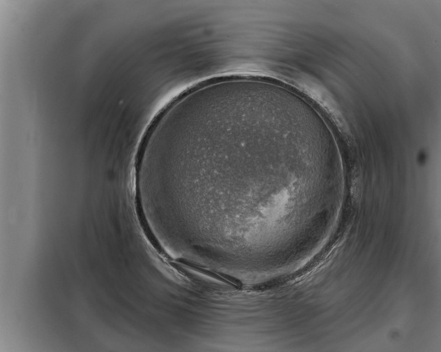 X0000098171372200805011004