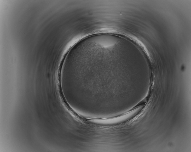 X0000098171373200805011004