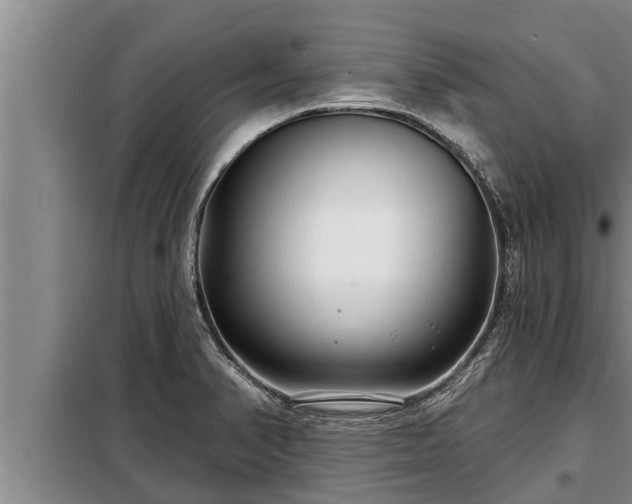 X0000098171374200805011004