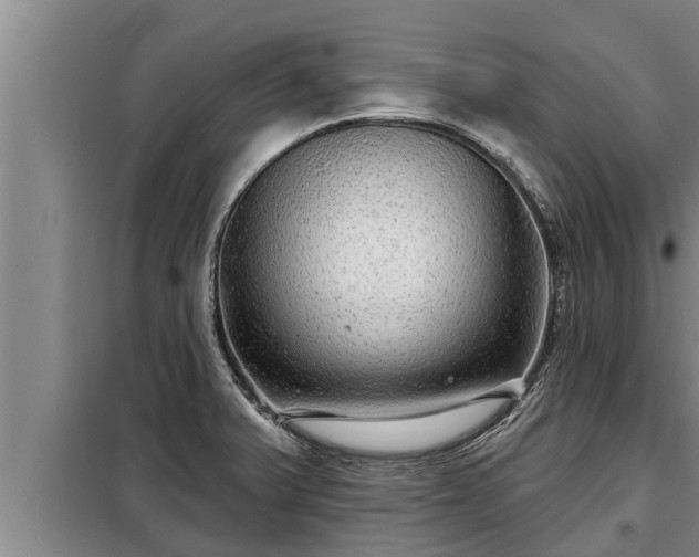 X0000098171375200805011004